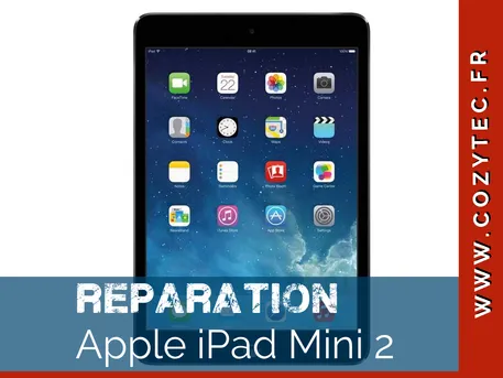 iPad Mini 2