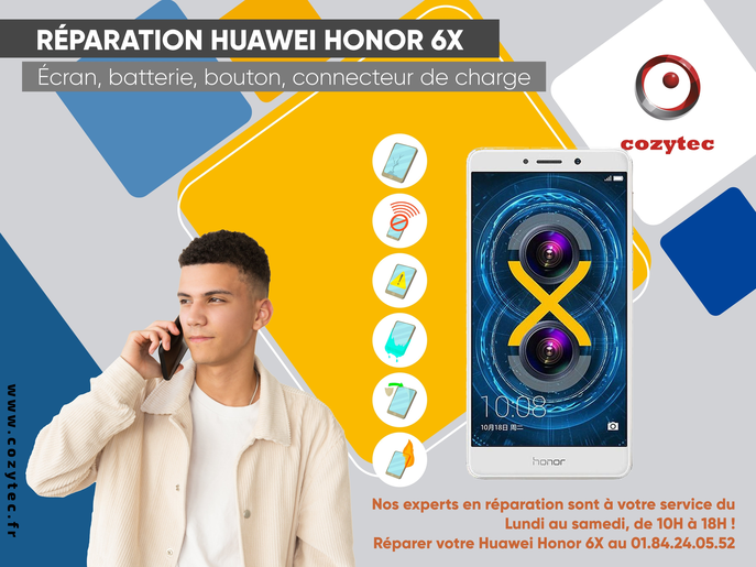 Honor 6X